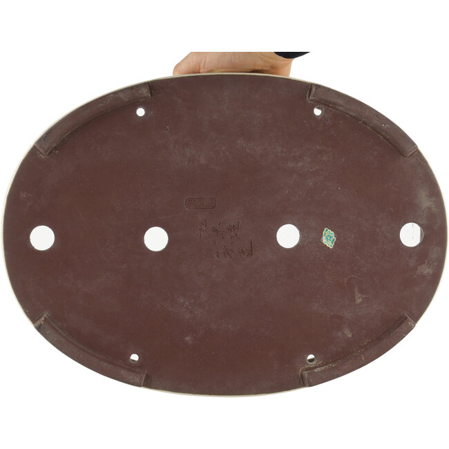 Maceta para bonsái ovalada blanco roto de Yamaaki - 403 x 292 x 63 mm