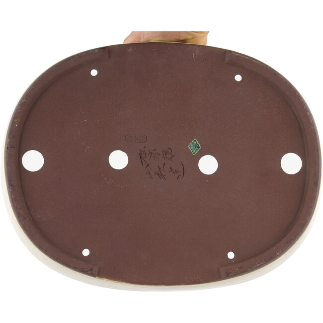 Maceta para bonsái ovalada blanco roto de Yamaaki - 403 x 317 x 77 mm
