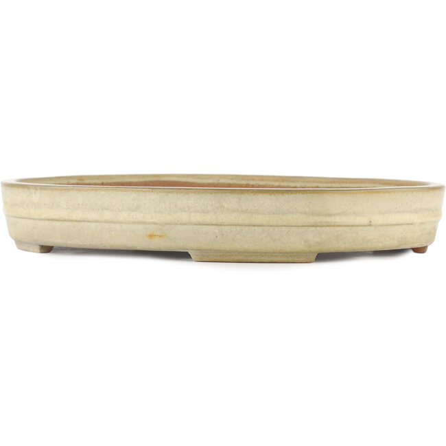 Maceta para bonsái ovalada blanco roto de Yamafusa - 403 x 306 x 57 mm