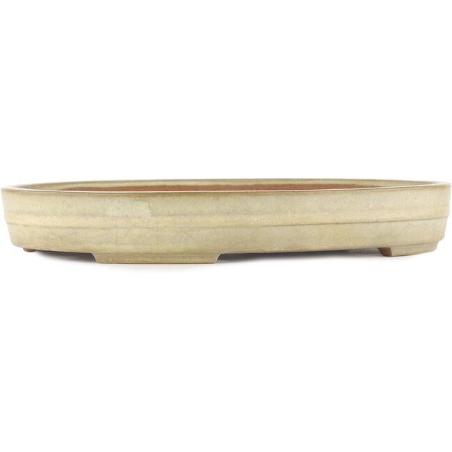 Maceta para bonsái ovalada blanco roto de Yamafusa - 403 x 306 x 57 mm