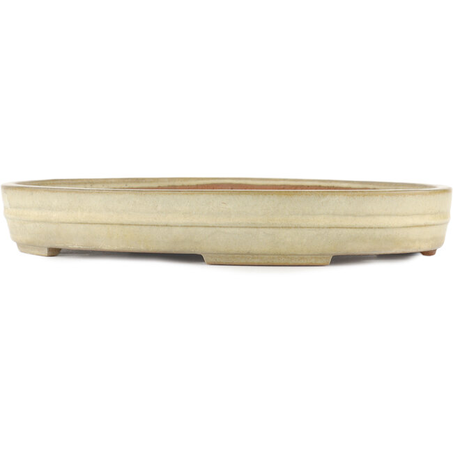 Pot à bonsaï ovale blanc cassé par Yamafusa - 403 x 306 x 57 mm