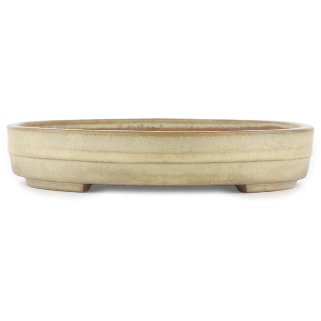 Ovale gebroken witte bonsaipot van Yamafusa - 403 x 306 x 57 mm