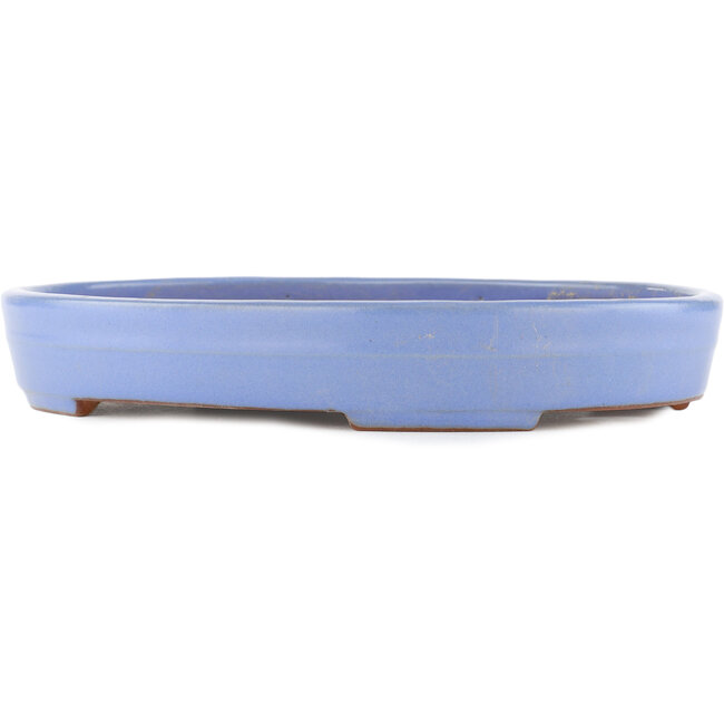 Pot à bonsaï ovale bleu par Yamafusa - 320 x 229 x 47 mm