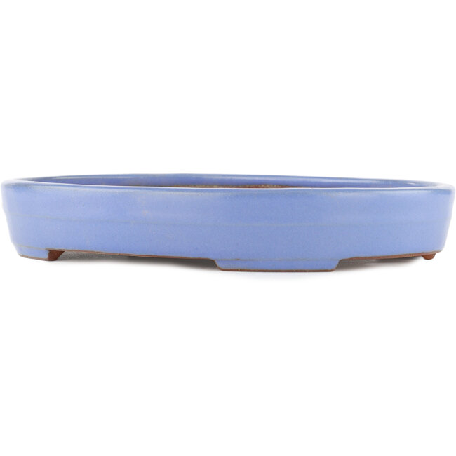Pot à bonsaï ovale bleu par Yamafusa - 320 x 229 x 47 mm