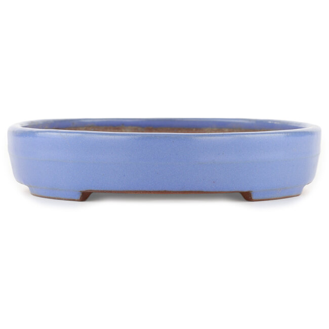 Ovale blauwe bonsaipot van Yamafusa - 320 x 229 x 47 mm