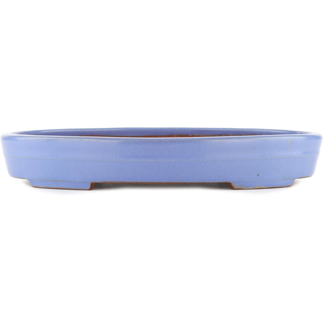 Ovaler blauer Bonsai-Topf von Yamafusa - 302 x 232 x 42 mm