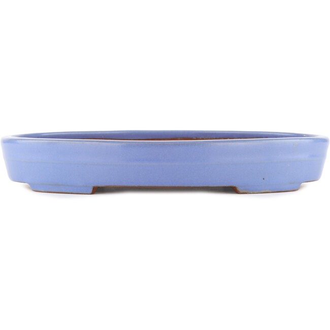 Pot à bonsaï ovale bleu par Yamafusa - 302 x 232 x 42 mm