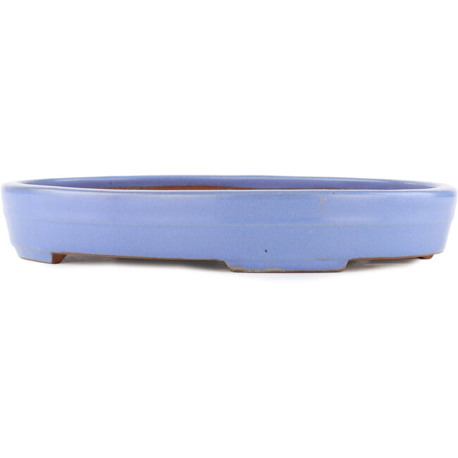Vaso bonsai ovale blu di Yamafusa - 302 x 232 x 42 mm
