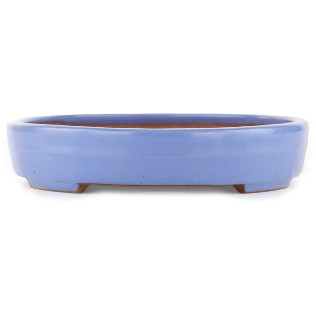 Oval blue bonsai pot by Yamafusa - 302 x 232 x 42 mm