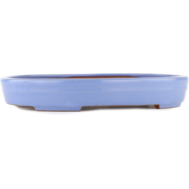 Ovaler blauer Bonsai-Topf von Yamafusa - 302 x 232 x 42 mm