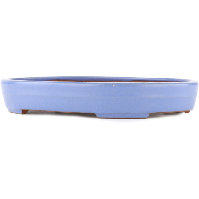Oval blue bonsai pot by Yamafusa - 302 x 232 x 42 mm