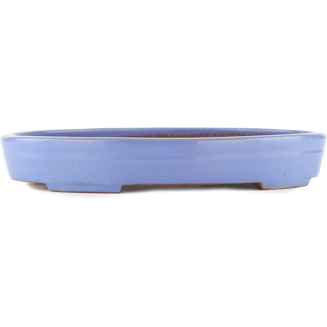 Oval blue bonsai pot by Yamafusa - 302 x 232 x 42 mm
