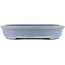 Ovaler blauer Bonsai-Topf von Yamafusa - 346 x 275 x 54 mm