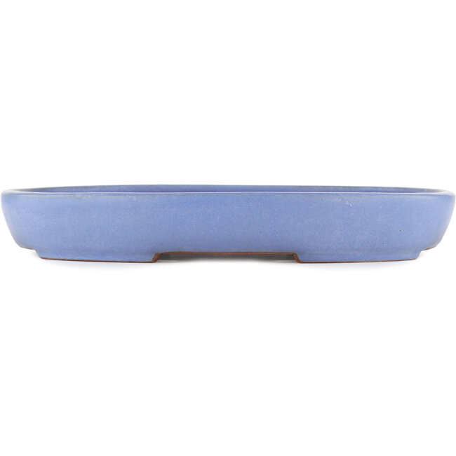 Ovaler blauer Bonsai-Topf von Yamafusa - 405 x 299 x 60 mm