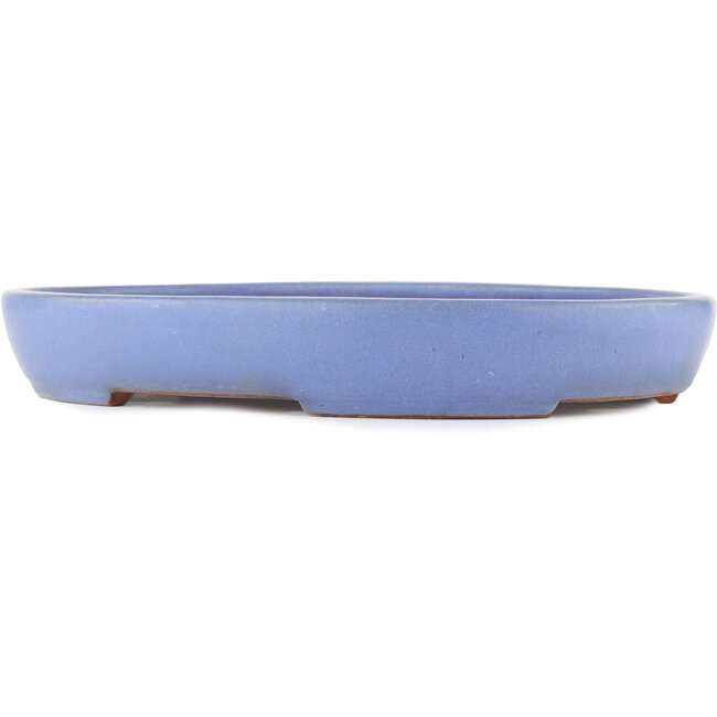 Oval blue bonsai pot by Yamafusa - 405 x 299 x 60 mm