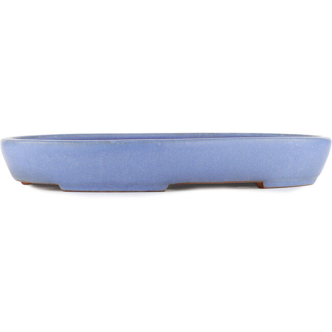 Pot à bonsaï ovale bleu par Yamafusa - 405 x 299 x 60 mm