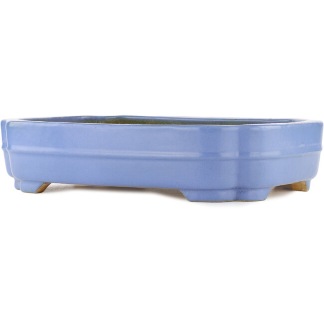 Vaso bonsai rettangolare blu di Hattori - 405 x 300 x 93 mm