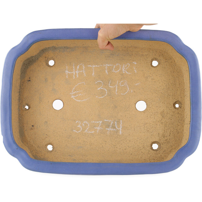 Pot à bonsaï rectangulaire bleu par Hattori - 405 x 300 x 93 mm