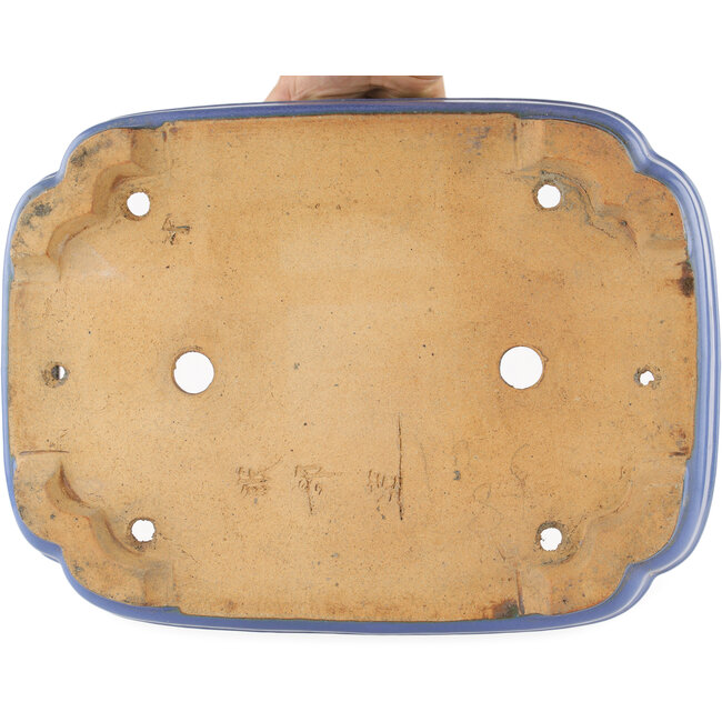 Pot à bonsaï rectangulaire bleu par Hattori - 405 x 300 x 93 mm