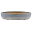 Maceta ovalada para bonsái azul de Hattori - 400 x 300 x 55 mm