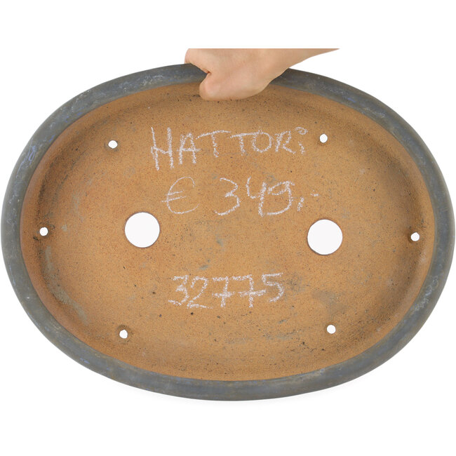 Maceta ovalada para bonsái azul de Hattori - 400 x 300 x 55 mm