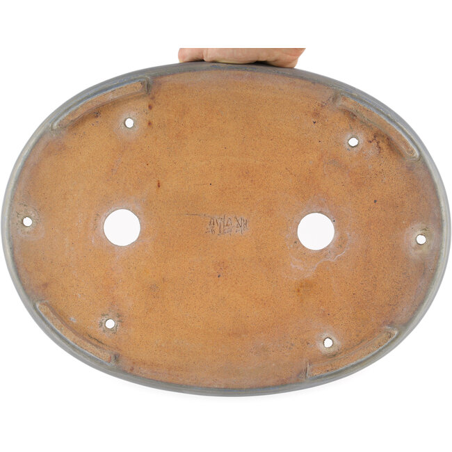 Maceta ovalada para bonsái azul de Hattori - 400 x 300 x 55 mm