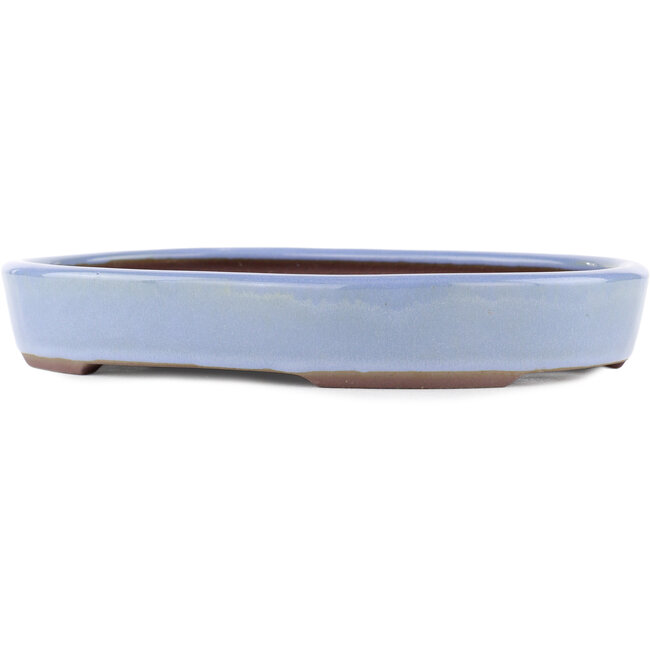 Ovale blauwe bonsaipot van Yamaaki - 285 x 225 x 43 mm