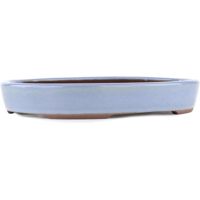 Pot à bonsaï ovale bleu par Yamaaki - 285 x 225 x 43 mm