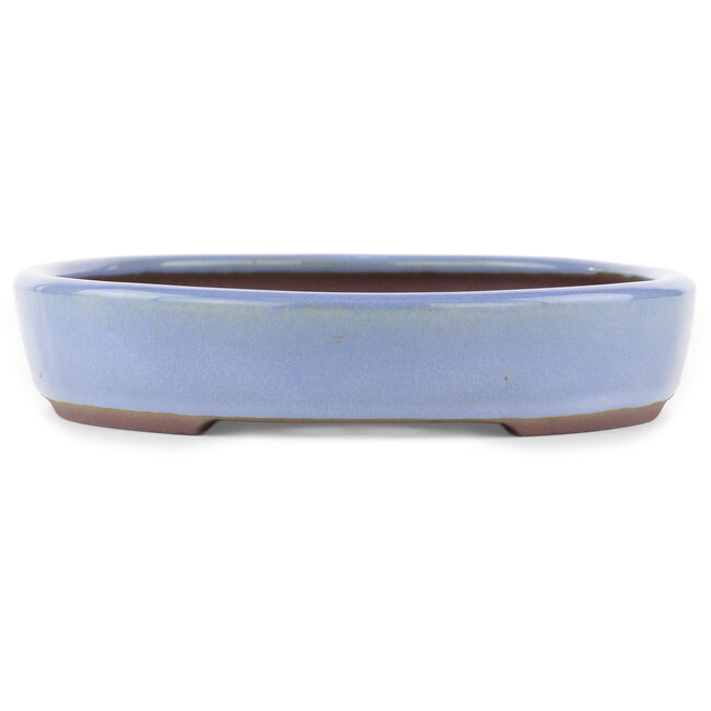 Oval blue bonsai pot by Yamaaki - 285 x 225 x 43 mm