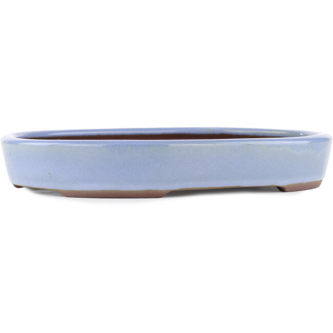 Pot à bonsaï ovale bleu par Yamaaki - 285 x 225 x 43 mm