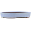 Ovaler blauer Bonsai-Topf von Yamaaki - 285 x 225 x 43 mm