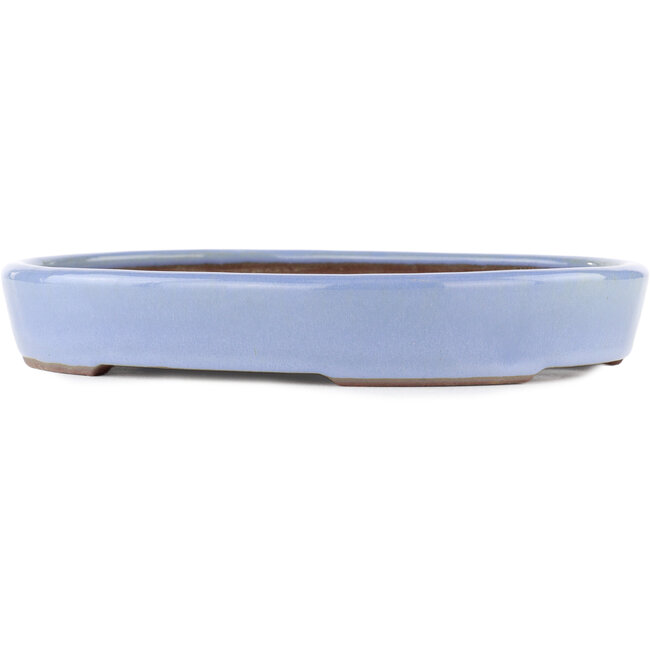 Maceta ovalada para bonsái azul de Yamaaki - 285 x 225 x 45 mm