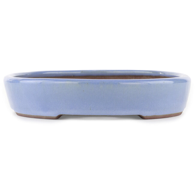 Pot à bonsaï ovale bleu par Yamaaki - 285 x 225 x 45 mm