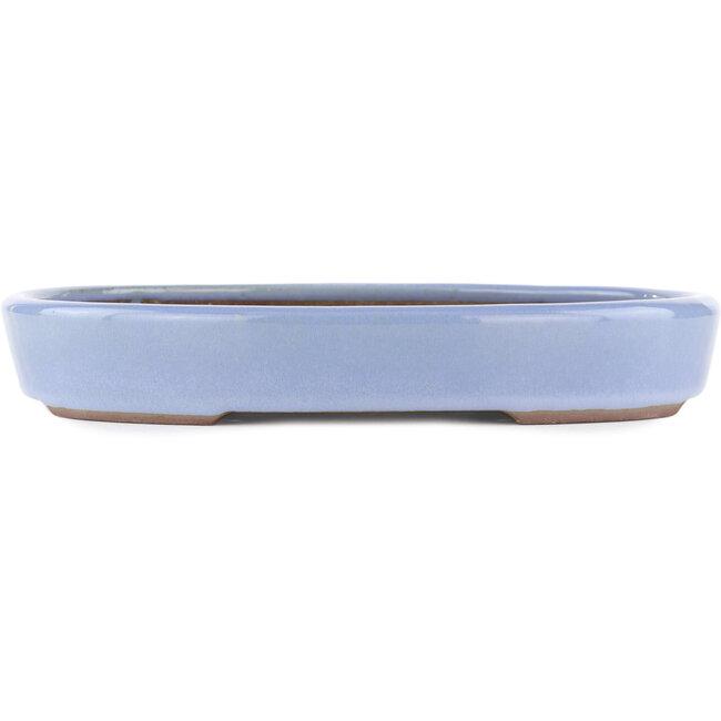Oval blue bonsai pot by Yamaaki - 285 x 225 x 45 mm