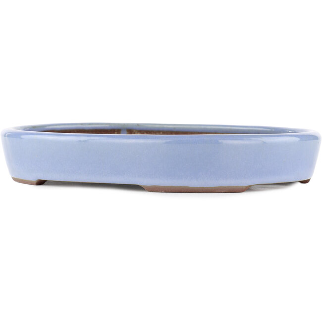Vaso bonsai ovale blu di Yamaaki - 285 x 225 x 45 mm