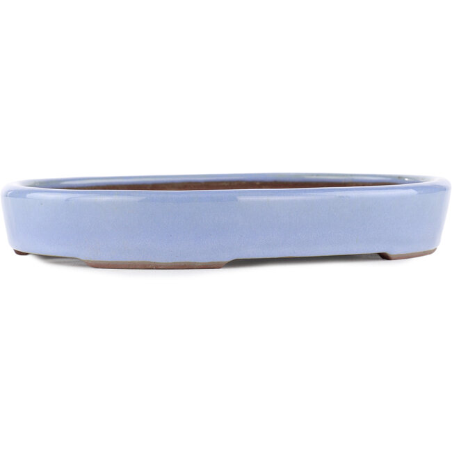 Oval blue bonsai pot by Yamaaki - 285 x 225 x 45 mm