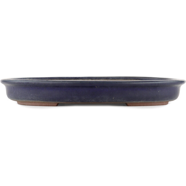 Ovaler blauer Bonsai-Topf von Yamaaki - 340 x 279 x 44 mm