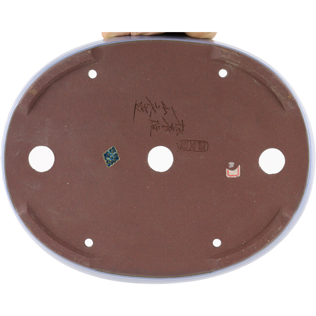 Maceta ovalada para bonsái azul de Yamaaki - 285 x 225 x 45 mm
