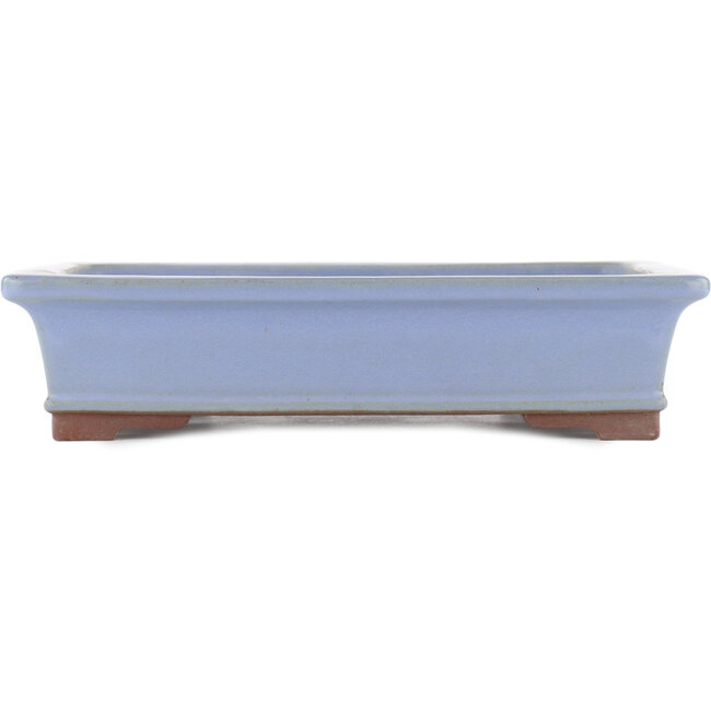 Rechteckiger blauer Bonsai-Topf von Yamaaki - 320 x 240 x 77 mm