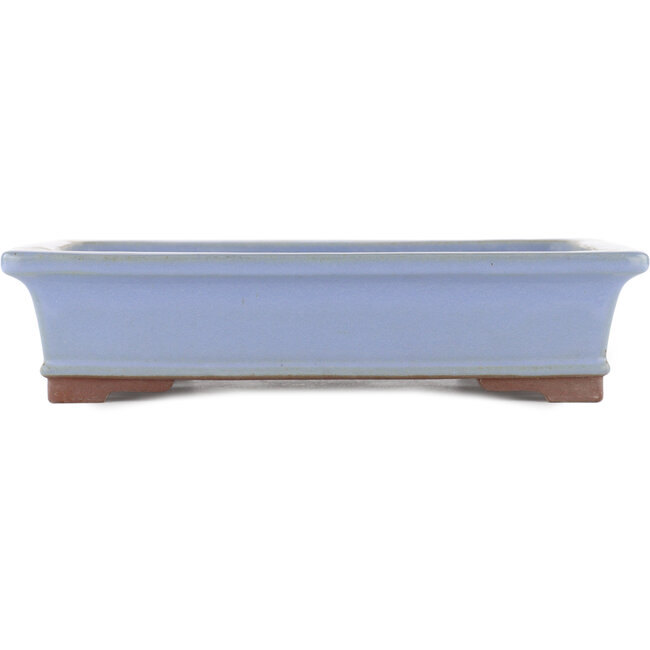 Rectangular blue bonsai pot by Yamaaki - 320 x 240 x 77 mm