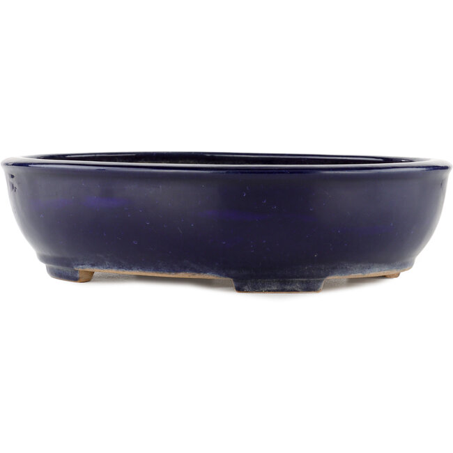Oval blue bonsai pot by Yamafusa - 345 x 272 x 87 mm