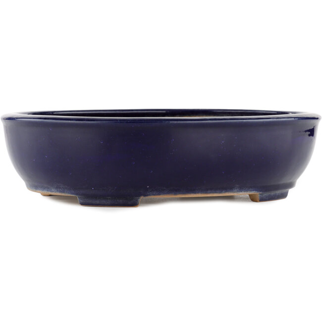Oval blue bonsai pot by Yamafusa - 345 x 272 x 87 mm