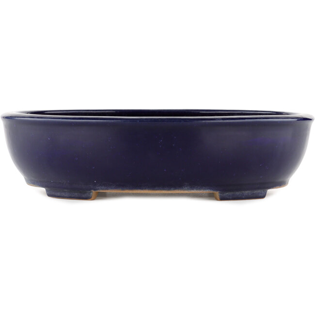 Pot à bonsaï ovale bleu par Yamafusa - 345 x 272 x 87 mm