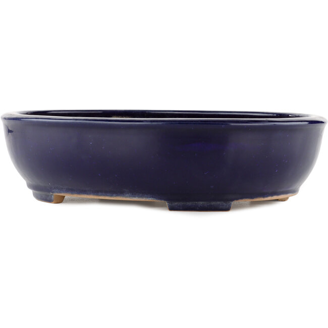 Oval blue bonsai pot by Yamafusa - 345 x 272 x 87 mm