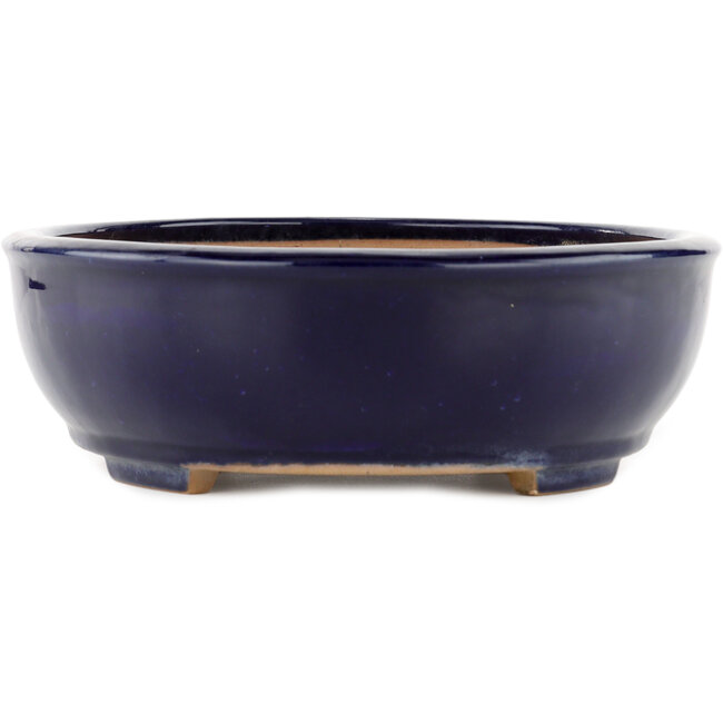 Pot à bonsaï ovale bleu par Yamafusa - 345 x 272 x 87 mm