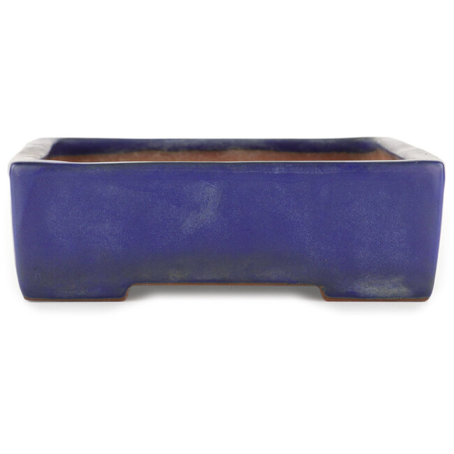 Maceta rectangular para bonsái azul de Yamafusa - 302 x 247 x 72 mm