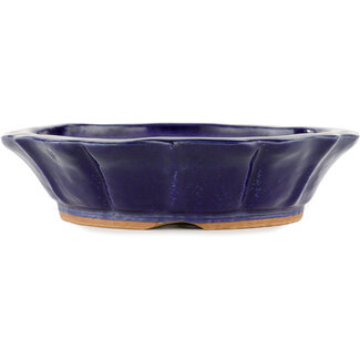  Other Tokoname bonsai pot makers Vaso blu da 255 mm proveniente da Tokoname, Giappone