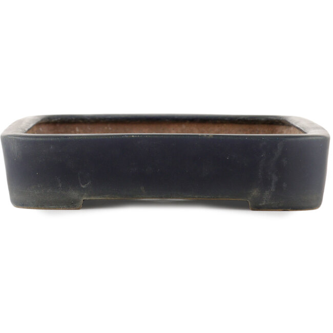 Rectangular blue bonsai pot by Reiho - 337 x 230 x 50 mm