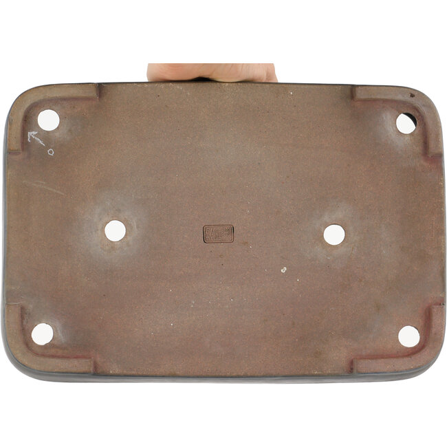 Pot à bonsaï rectangulaire bleu par Reiho - 337 x 230 x 50 mm