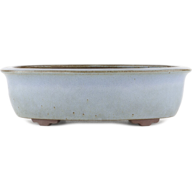 Oval blue bonsai pot by Yamaaki - 313 x 243 x 88 mm